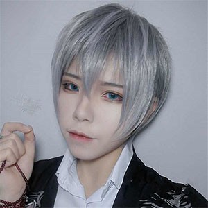 男装 メイク 眉毛 コスプレ ウィッグ グレイヘア 眉毛メンズ アート パーソ ナル カラー ウィッグ ハンサム ショート